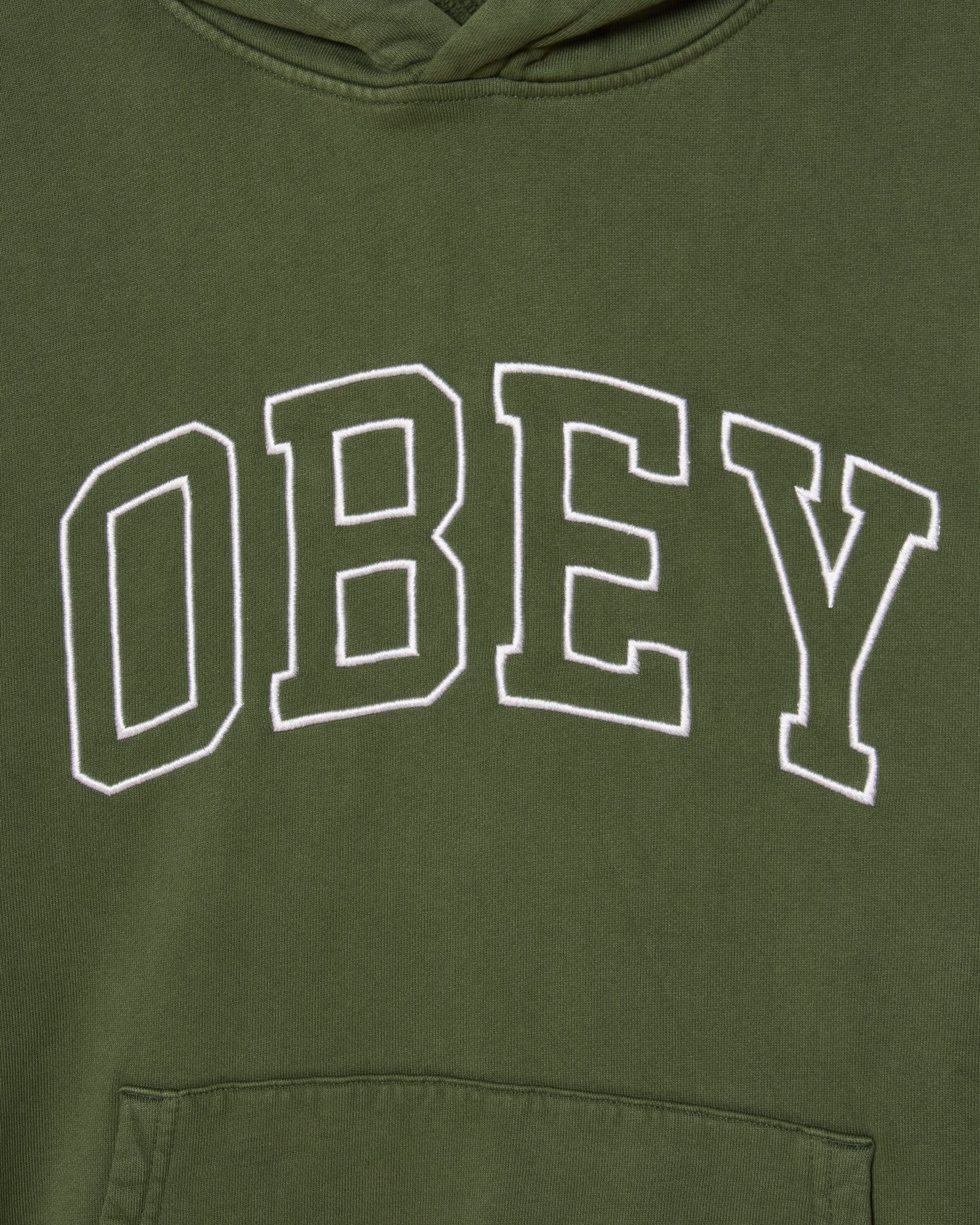COLLEGIATE FADED PULLOVER - Image 3