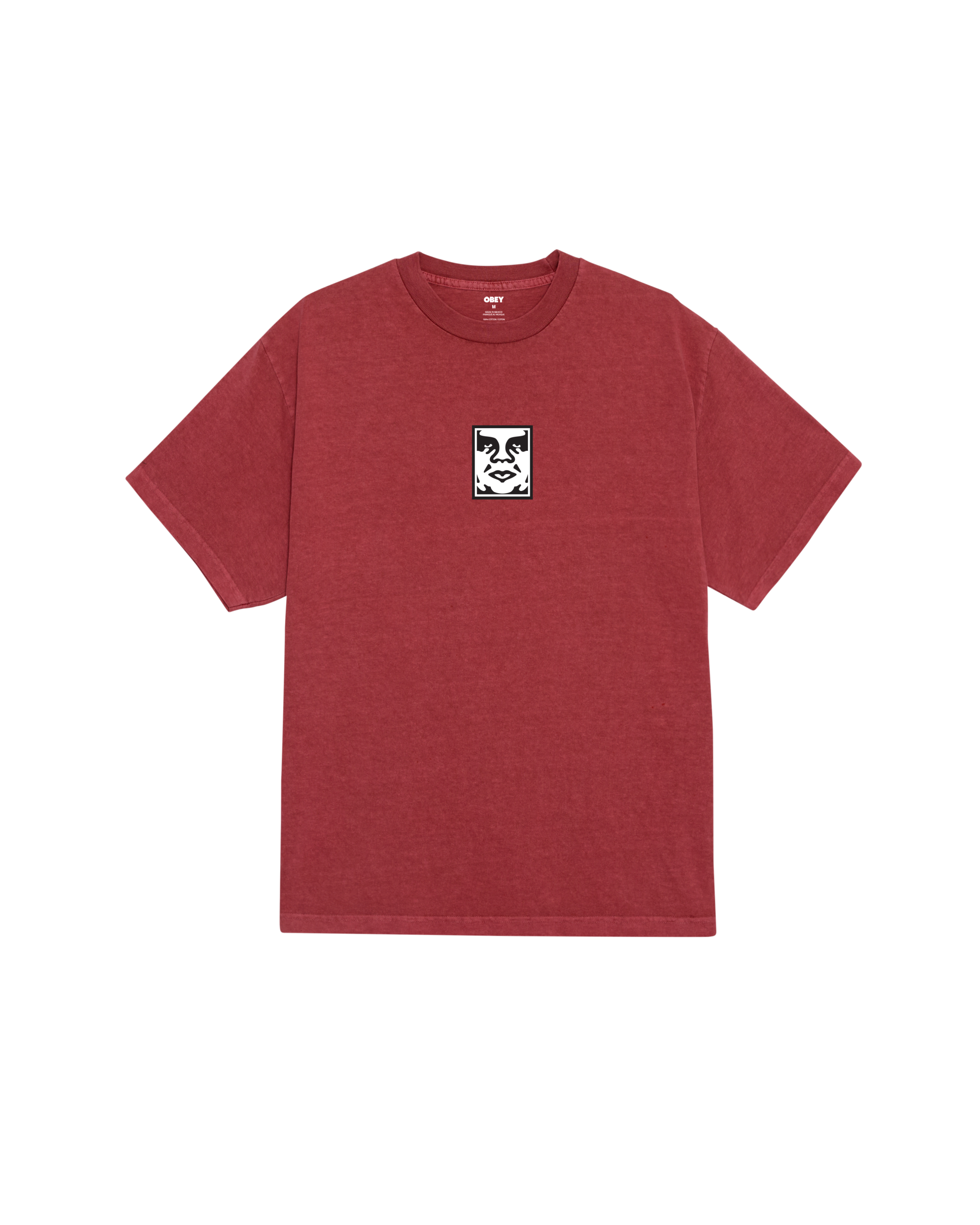 ICON FACE PIGMENT T-SHIRT